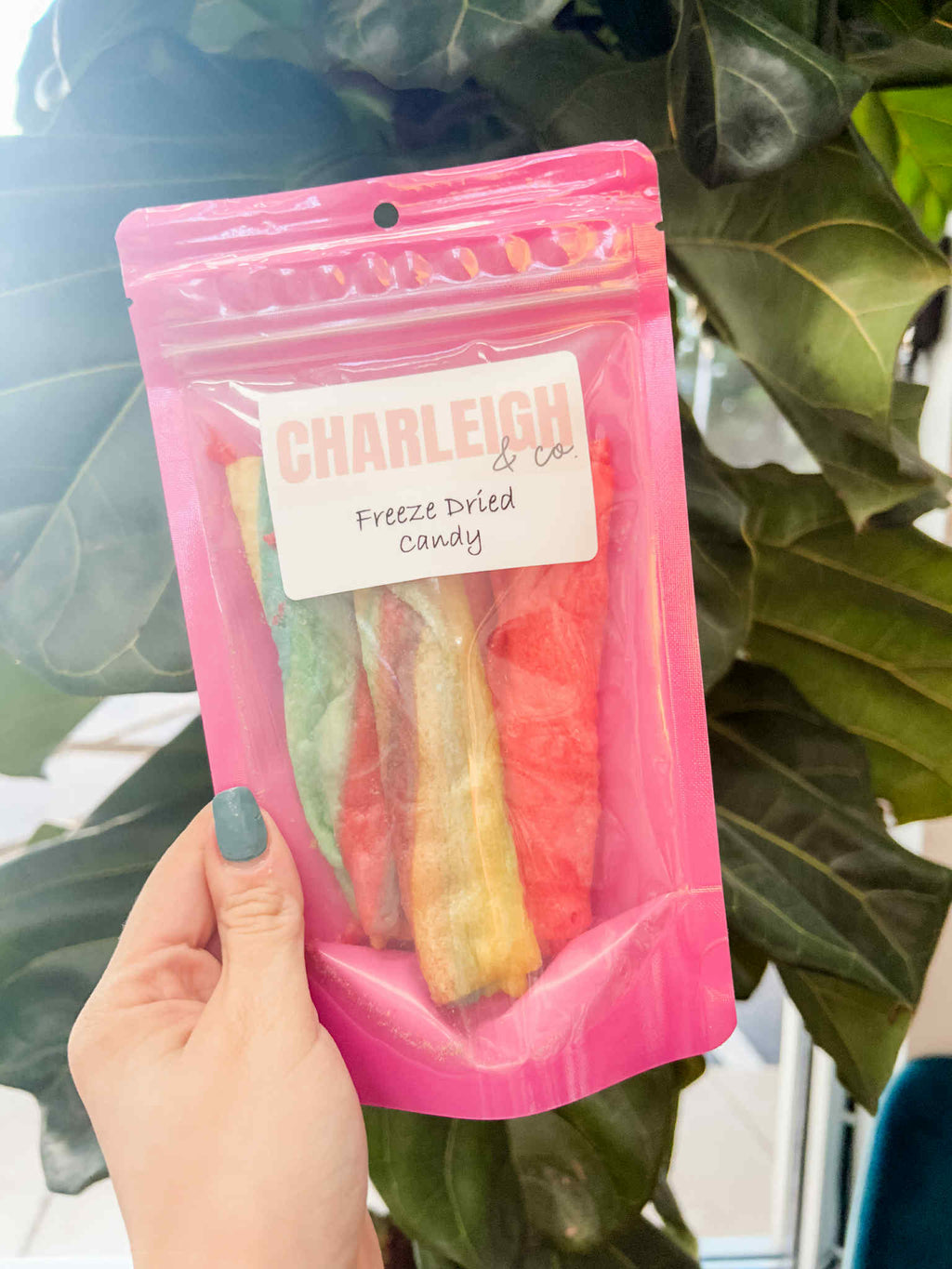 freeze dried candy