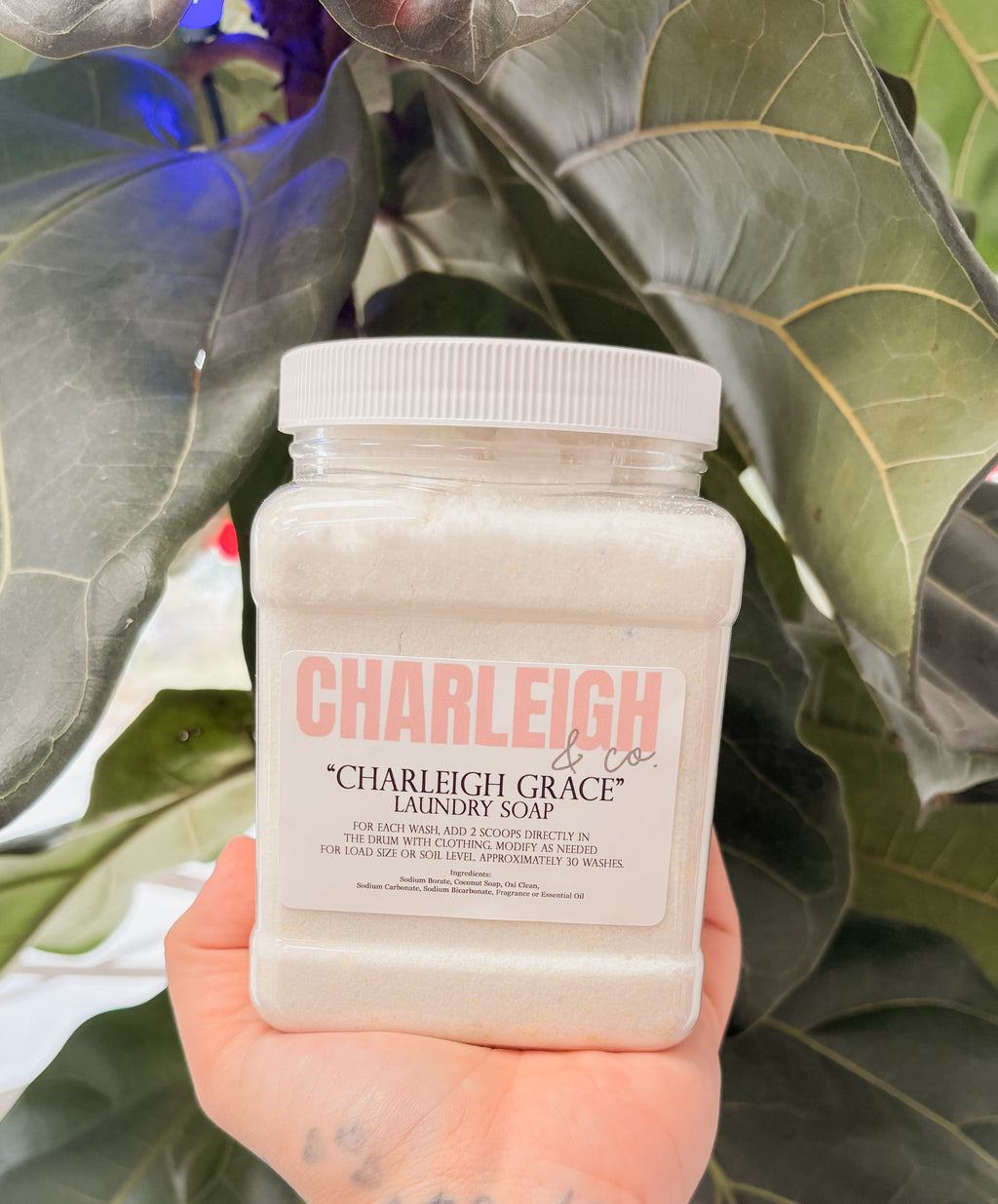 Charleigh Grace Laundry Detergent
