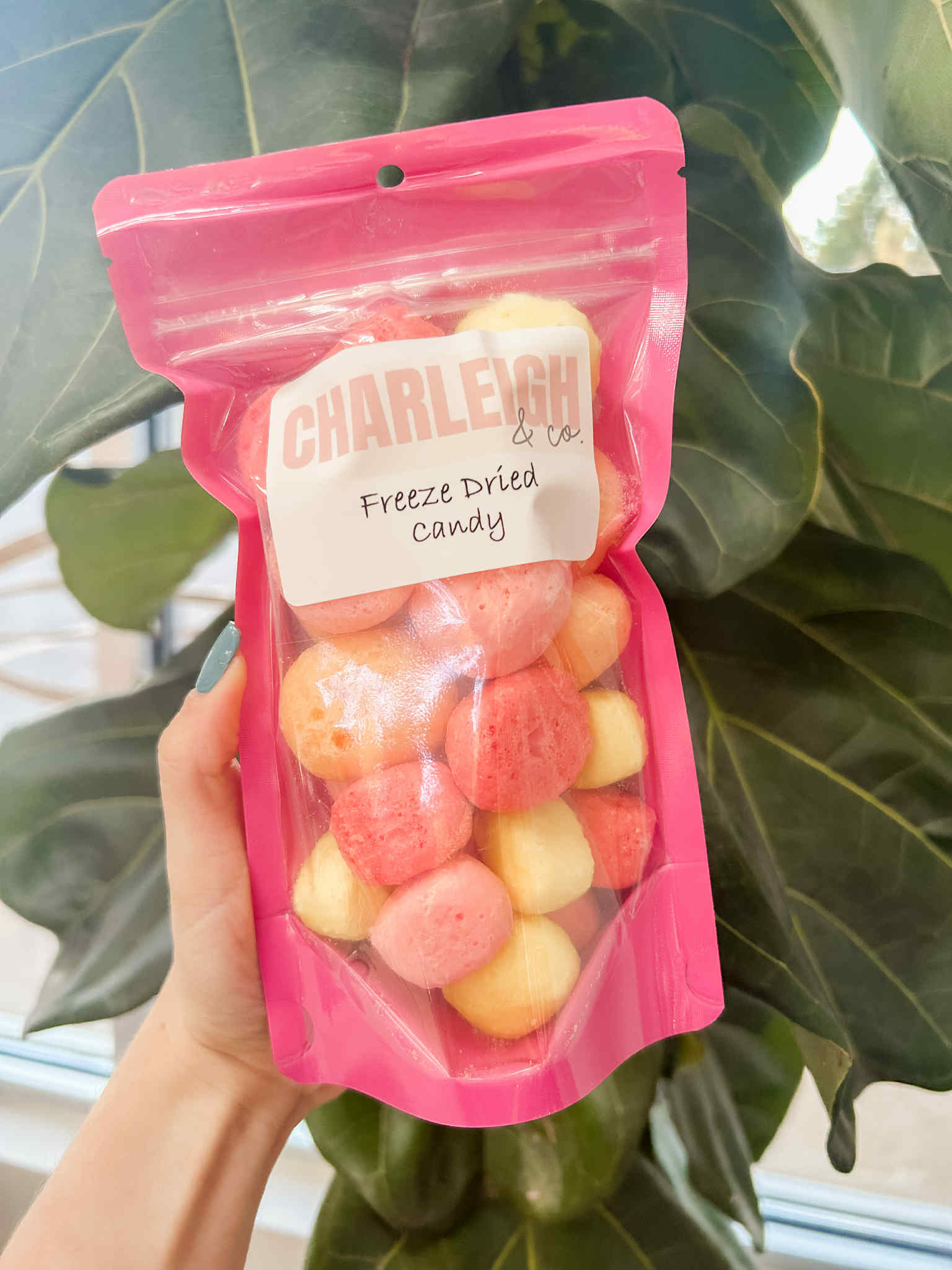 Freeze Dried Candy