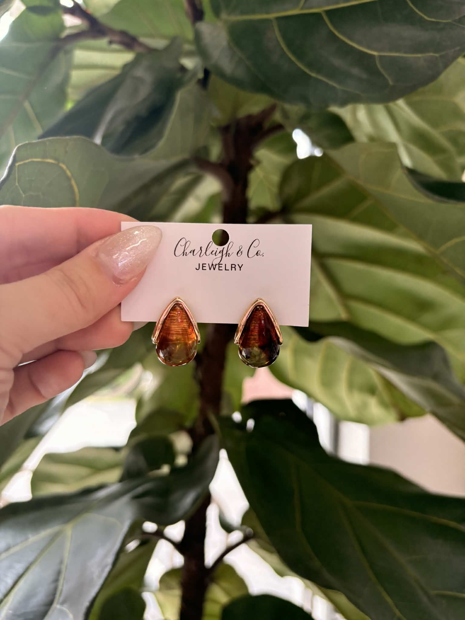 Teardrop Tortoise Earrings