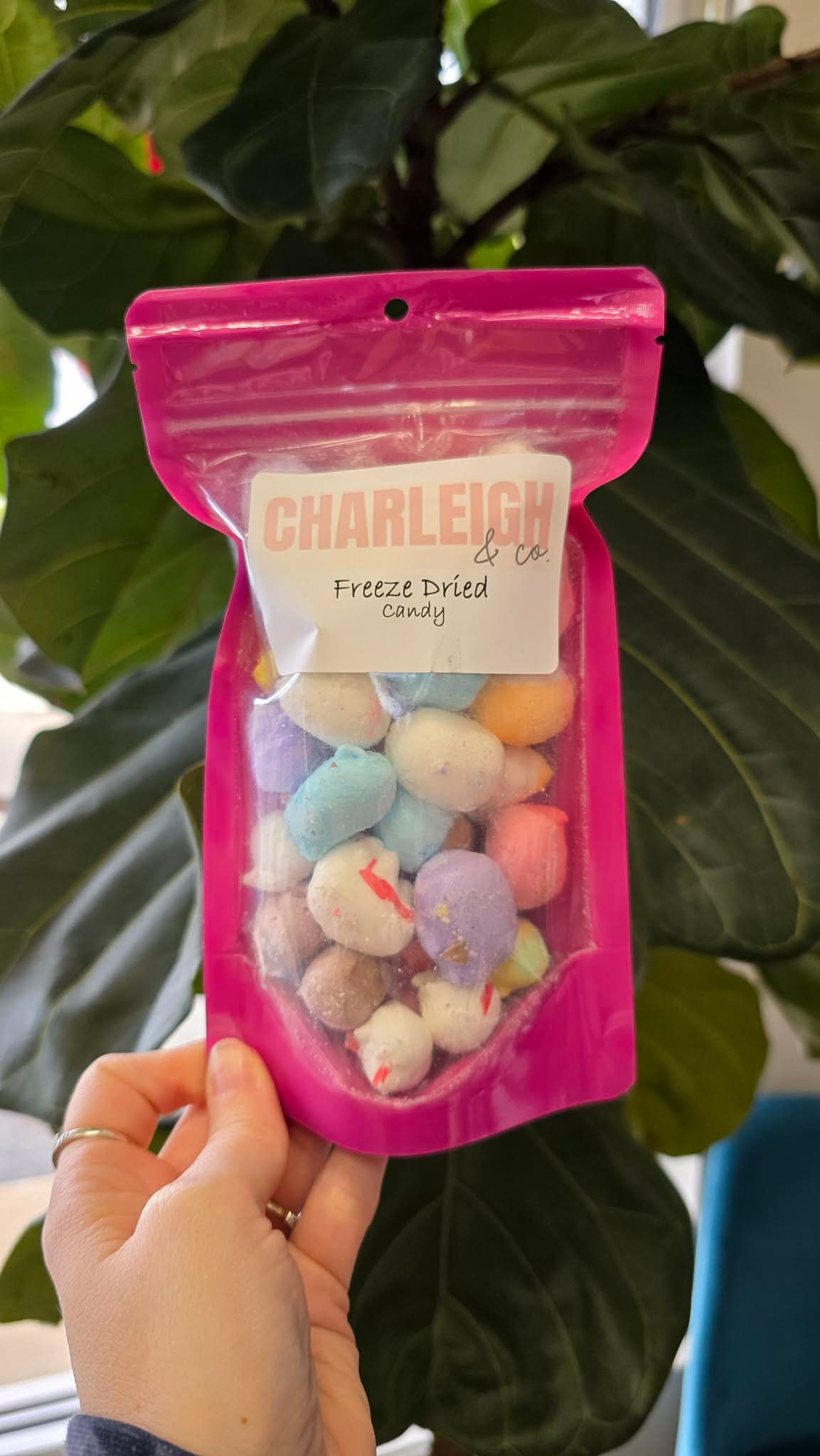 Freeze Dried Candy