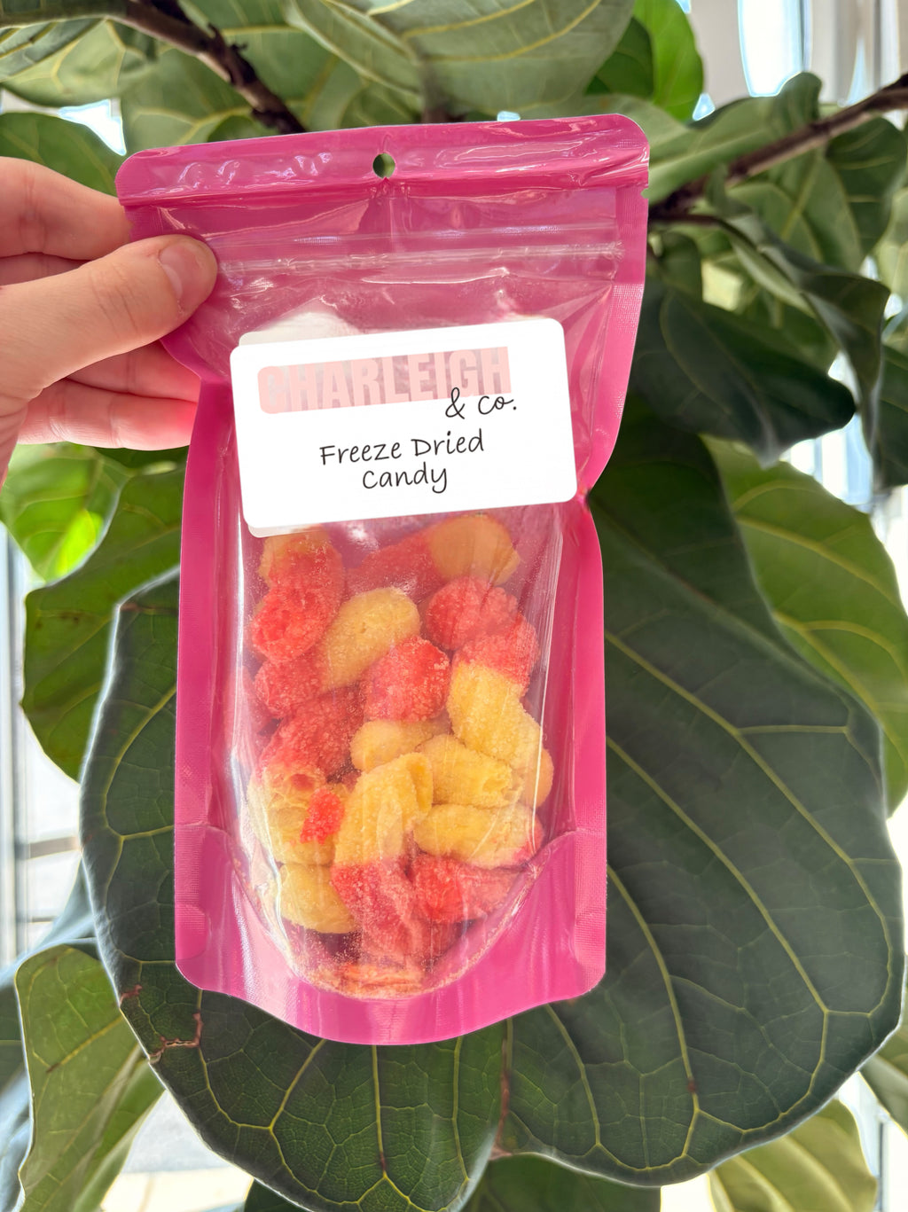 freeze dried candy